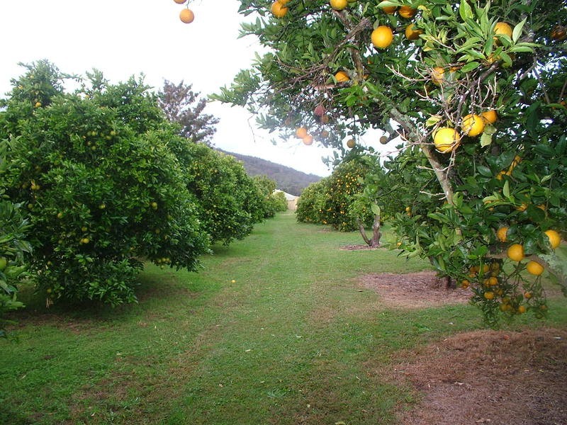Wyong Creek NSW 2259