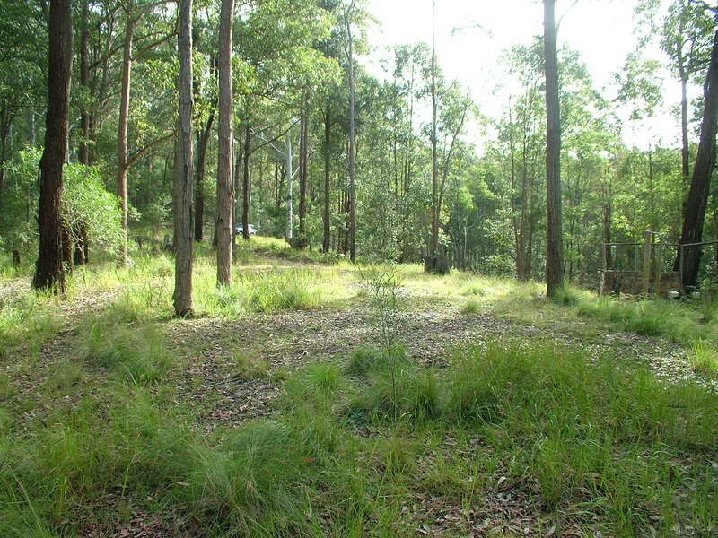 Cedar Brush Creek NSW 2259