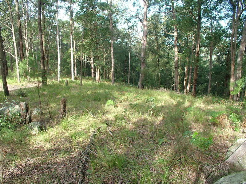 Cedar Brush Creek NSW 2259