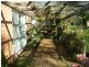 Buff Point NSW 2262