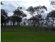 Buff Point NSW 2262