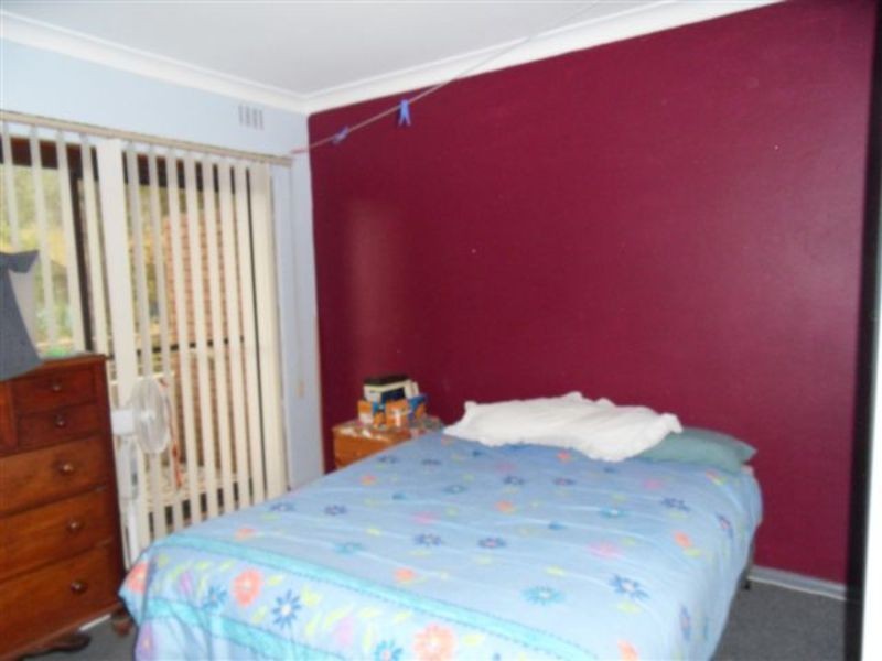 Wyong NSW 2259