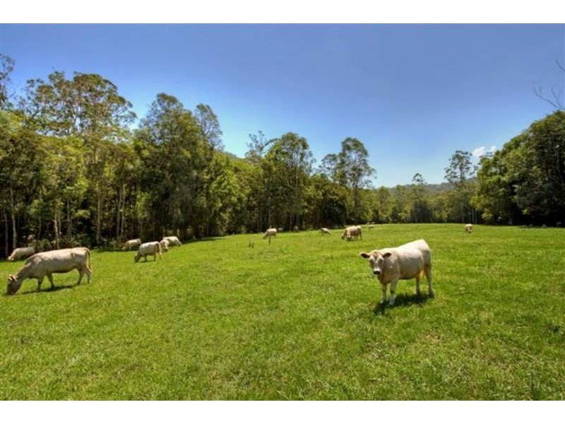 Yarramalong NSW 2259