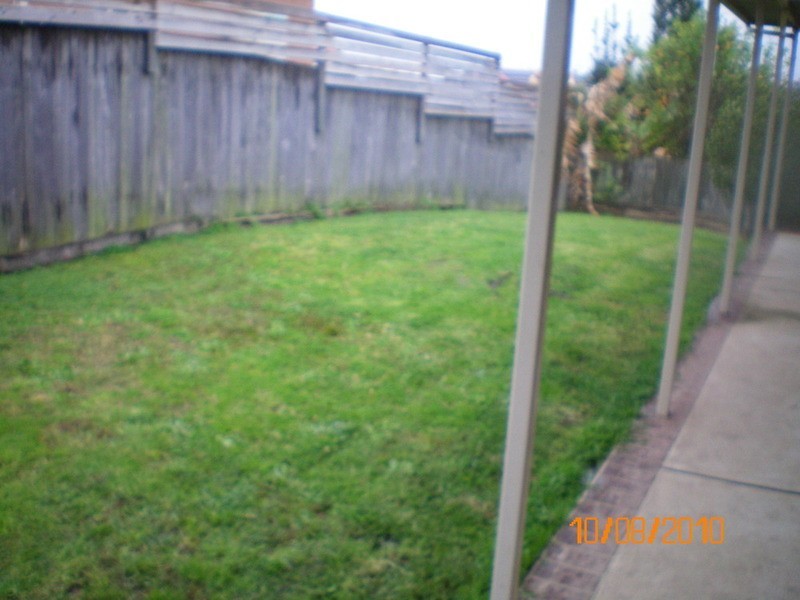 Mardi NSW 2259