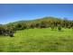 28 Macadamia Lane, Yarramalong NSW 2259
