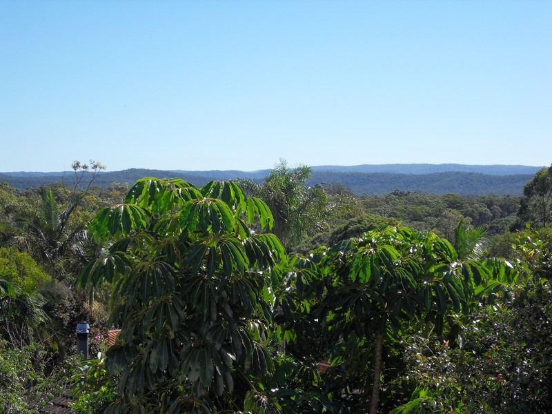 Wyee NSW 2259