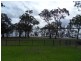 Buff Point NSW 2262