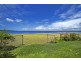 Toukley NSW 2263