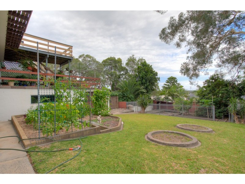 51  Kailua Avenue, Budgewoi NSW 2262