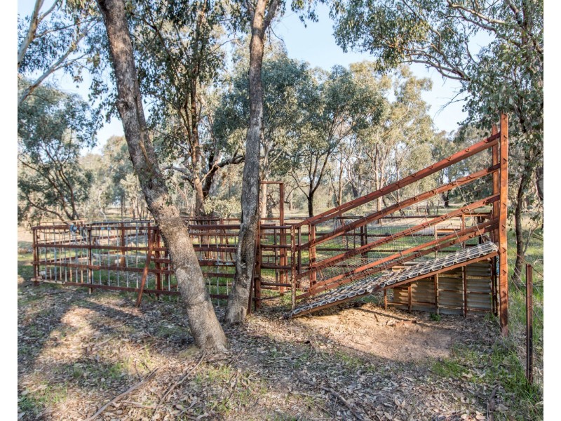 21 Rowan Road, Lake Albert NSW 2650