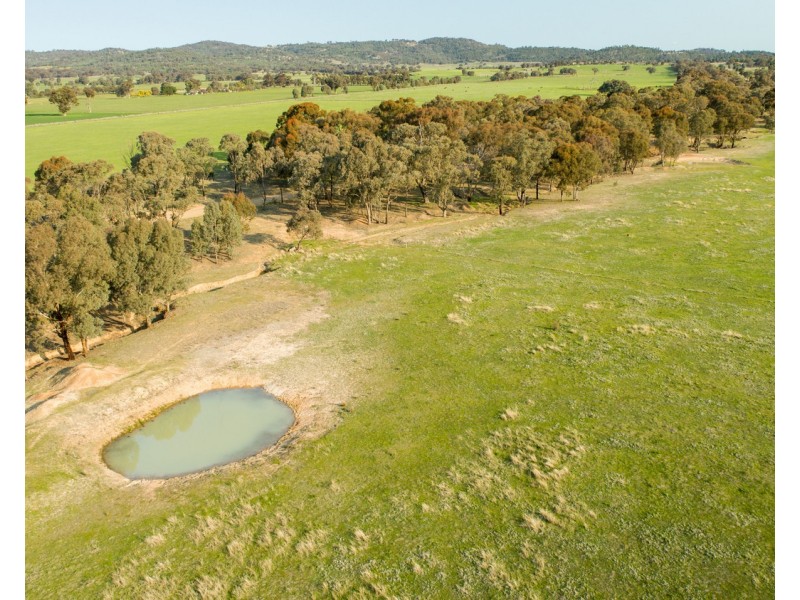 21 Rowan Road, Lake Albert NSW 2650