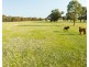 21 Rowan Road, Lake Albert NSW 2650