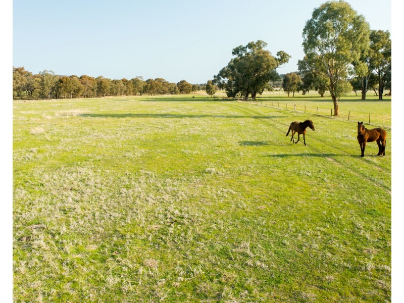 21 Rowan Road, Lake Albert NSW 2650