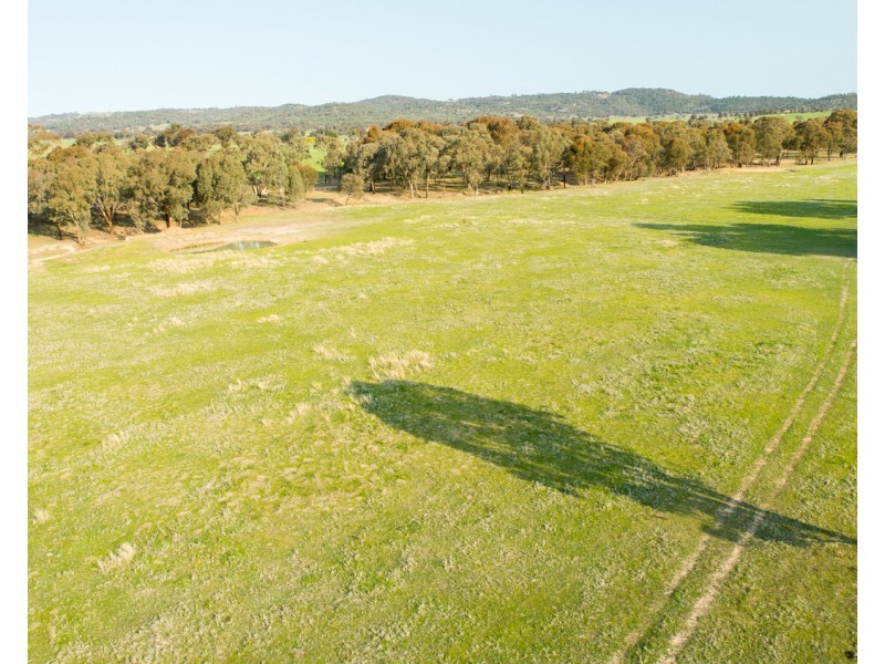 21 Rowan Road, Lake Albert NSW 2650
