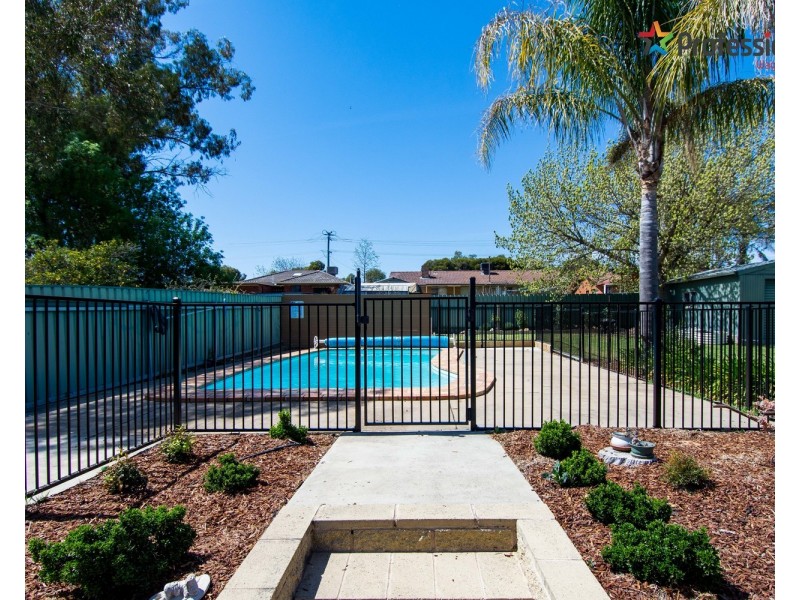 13 Myall Crescent, Lake Albert NSW 2650