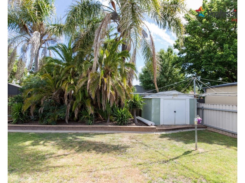 16 Ilex Street, Lake Albert NSW 2650