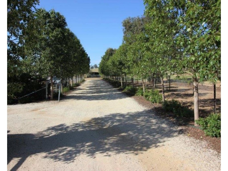 42 Willow Tree Place, Wagga Wagga NSW 2650