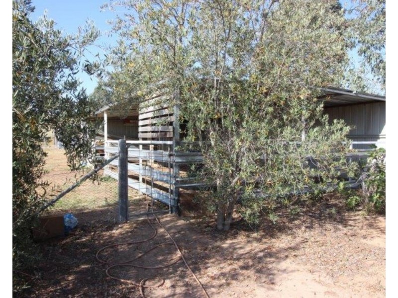 42 Willow Tree Place, Wagga Wagga NSW 2650