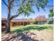 38 Wilks Avenue, Kooringal NSW 2650