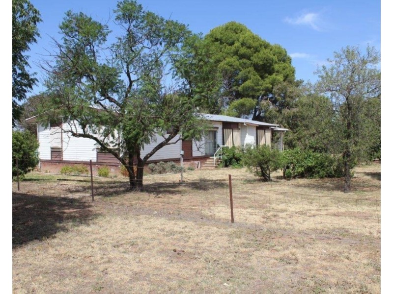 16 Cooramin Street, Cartwrights Hill NSW 2650