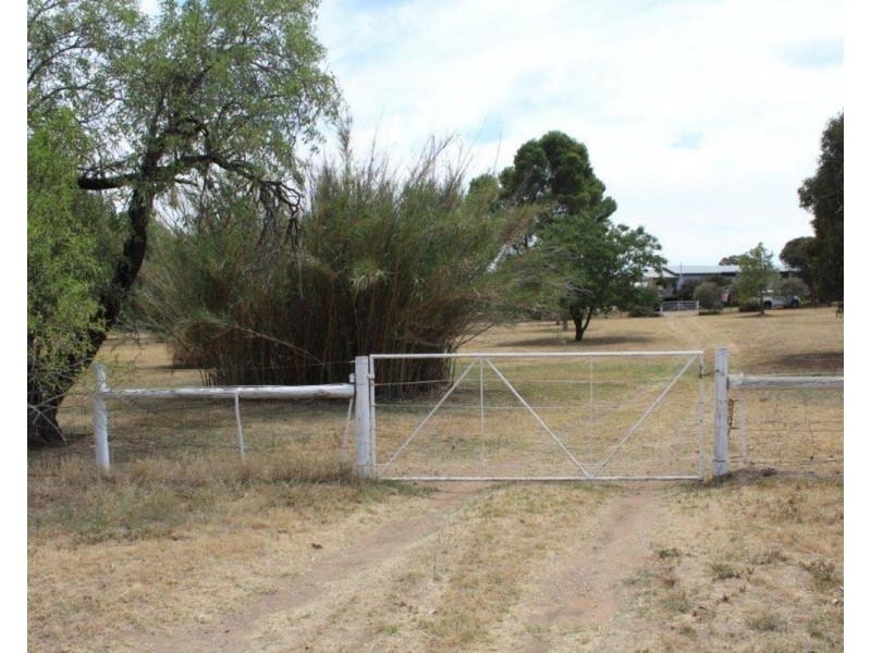 16 Cooramin Street, Cartwrights Hill NSW 2650