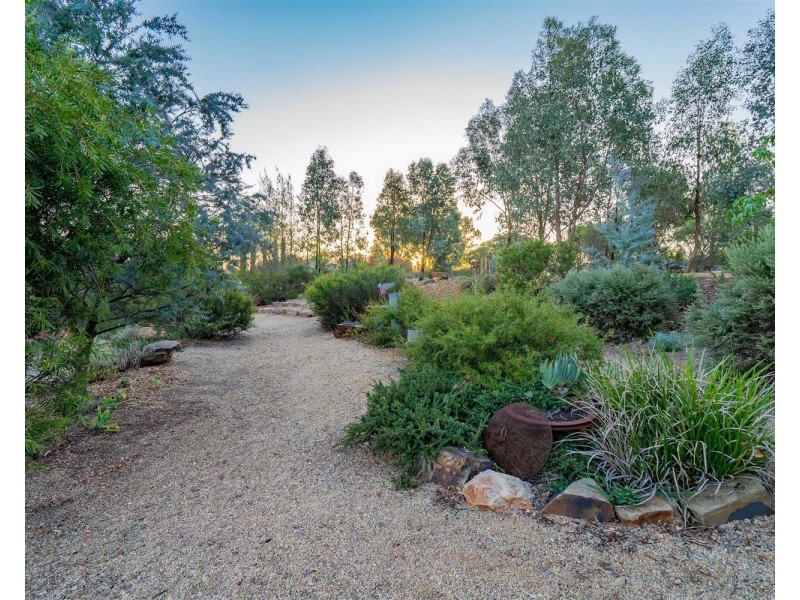 50 Featherwood Road, Springvale NSW 2650