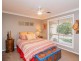 50 Featherwood Road, Springvale NSW 2650