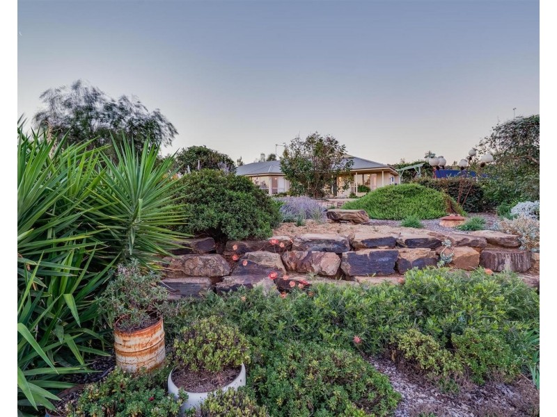 50 Featherwood Road, Springvale NSW 2650