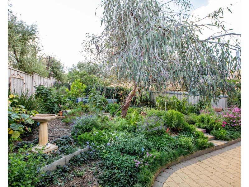 2 Headley Place, Kooringal NSW 2650