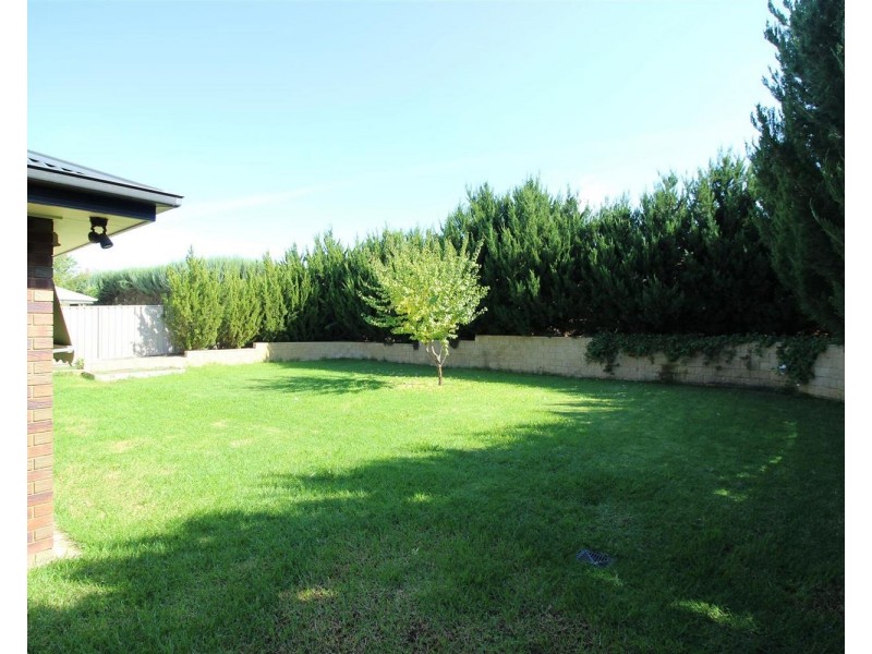 50 Stirling Boulevard, Tatton NSW 2650