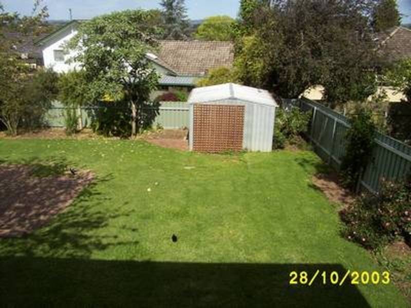 49 Wilks Avenue, Kooringal NSW 2650