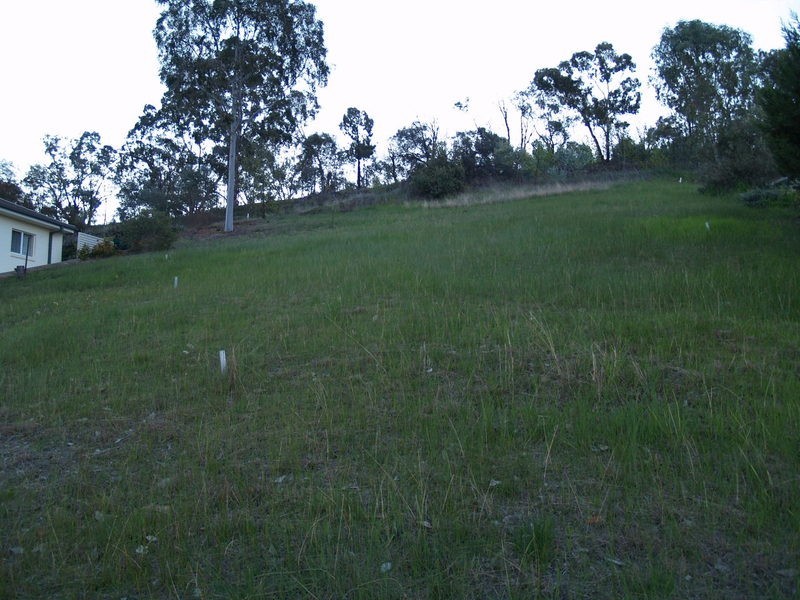 38 Andrews Avenue, Wagga Wagga NSW 2650