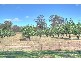 Wagga Wagga NSW 2650