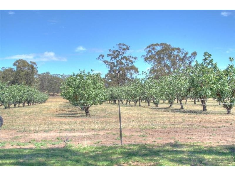 Wagga Wagga NSW 2650