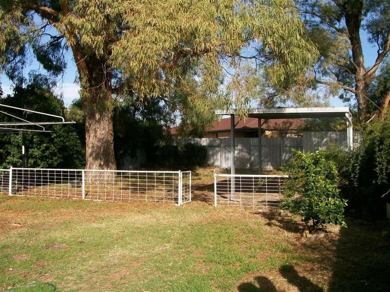 Wagga Wagga NSW 2650