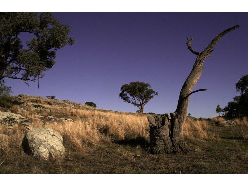 LOT 5/20 Butterbush Road, Wagga Wagga NSW 2650