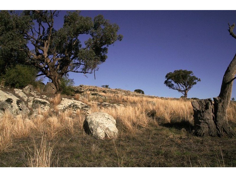 LOT 5/20 Butterbush Road, Wagga Wagga NSW 2650