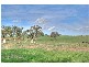 Marrar NSW 2652