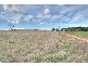Marrar NSW 2652