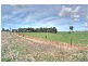 Marrar NSW 2652