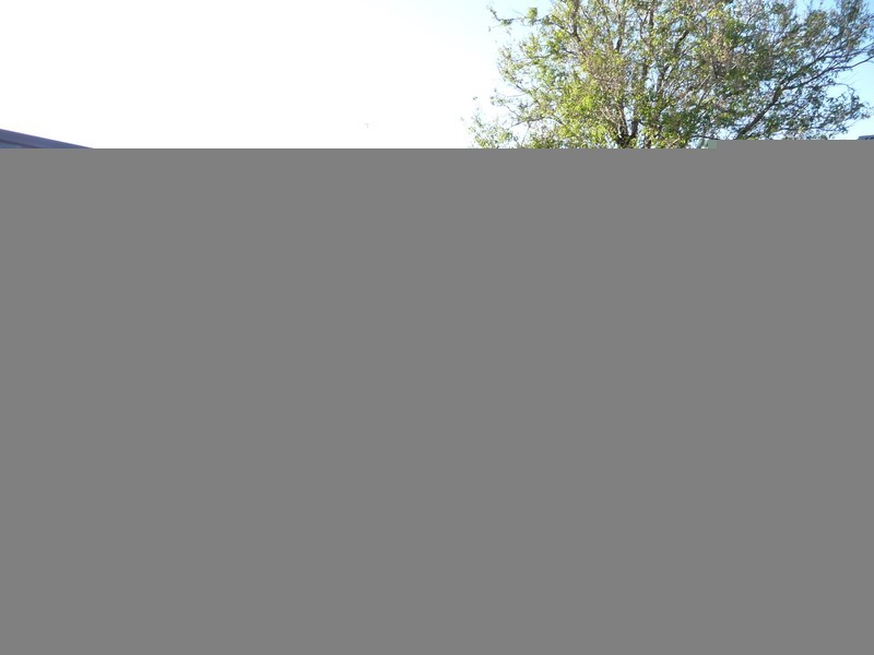 9 Ceduna Street, Mount Austin NSW 2650