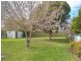 Wagga Wagga NSW 2650