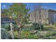 48 Kimberley Drive, Tatton NSW 2650