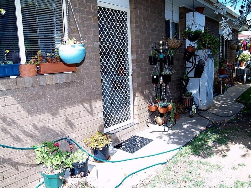 Wagga Wagga NSW 2650