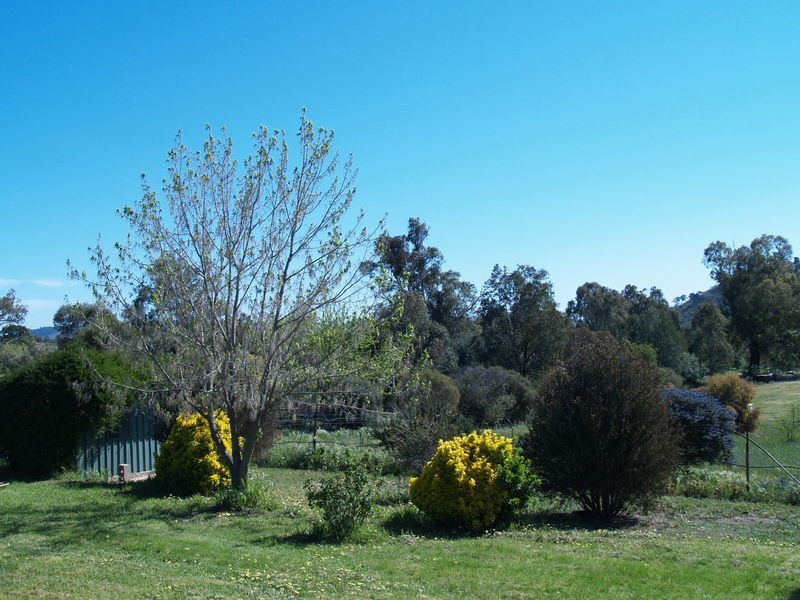 Wantabadgery NSW 2650