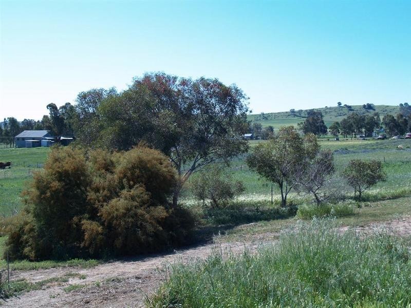 Wantabadgery NSW 2650