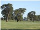Wagga Wagga NSW 2650
