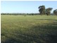Wagga Wagga NSW 2650