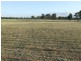Wagga Wagga NSW 2650