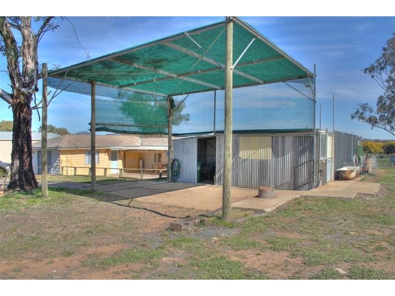 Wagga Wagga NSW 2650